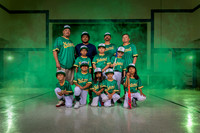 2026 Farm A's