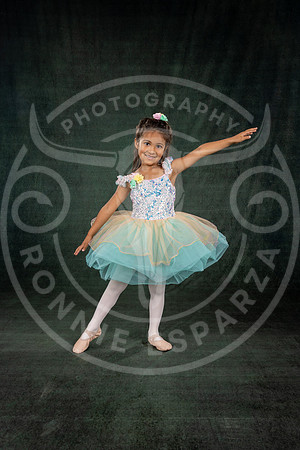 SPRING FARIES NS